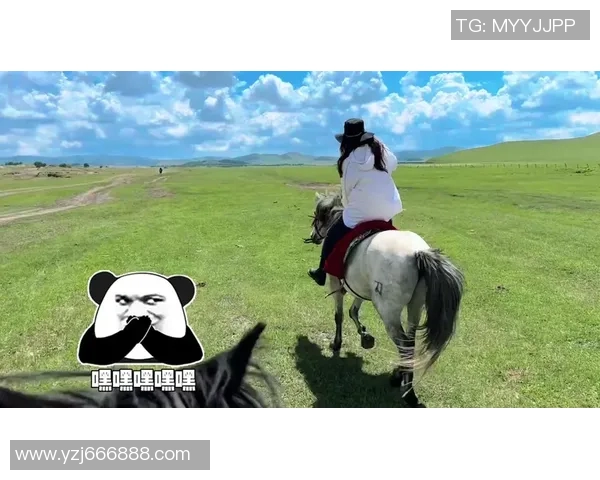 南京极限运动队配合引发热议运动员间默契与争议的背后故事